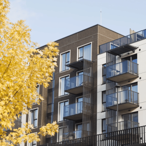 Naujasis Skansenas residential buildings